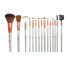 Aqua Color Line 15 Piece Brush Set
