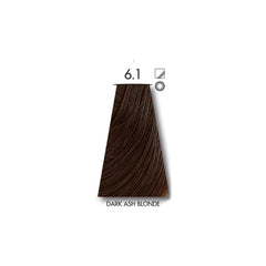 Keune Tinta DARK ASH BLONDE 6.1 with Keune Developer 20 Volume - 60 ml