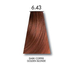 Keune Tinta Color Dark Copper Golden Blonde 6.43 with Keune Developer 20 Volume - 60 ml